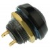 Push Button Switch, IP67, NO, Panel Mount, Momentary