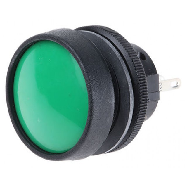 Push Button Switch, IP67, SP-NO/NC, Panel Mount, Momentary