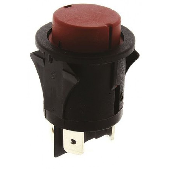 Push Button Switch, DP, Panel Mount, Momentary