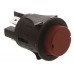 Push Button Switch, DP, Panel Mount, Momentary